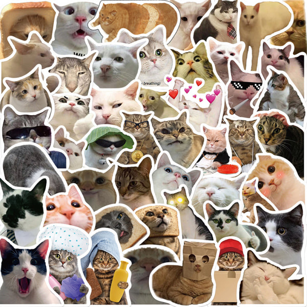50st Cat MEME Animals Stickers Toy Graffiti Dekaler för barn