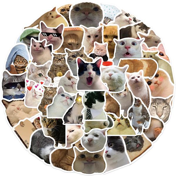 50st Cat MEME Animals Stickers Toy Graffiti Dekaler för barn