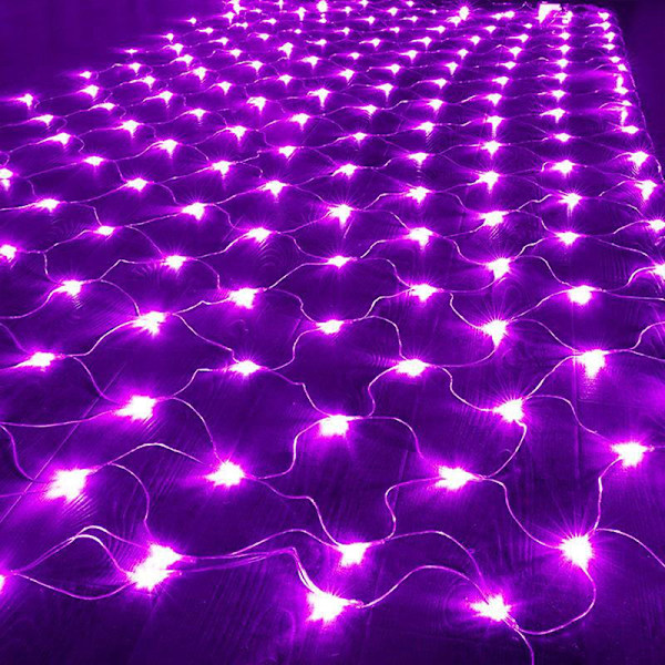 LED Nätgardin Mesh Fairy String Light Christmas Outdoor Light Multicolor