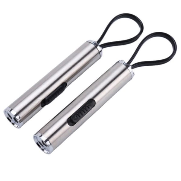 2 i 1 Silver Interactive LED Light Pen Pointer Ficklampa För
