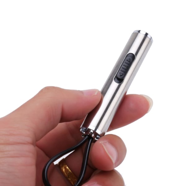 2 i 1 Silver Interactive LED Light Pen Pointer Ficklampa För