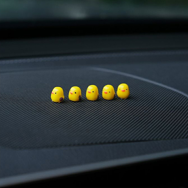 5st Mini Ducks Bilinredning Auto Backspegel Da A