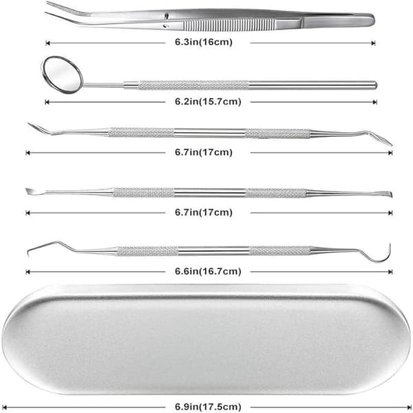 Tandhygien-set - 5 delar rostfritt stål Silver