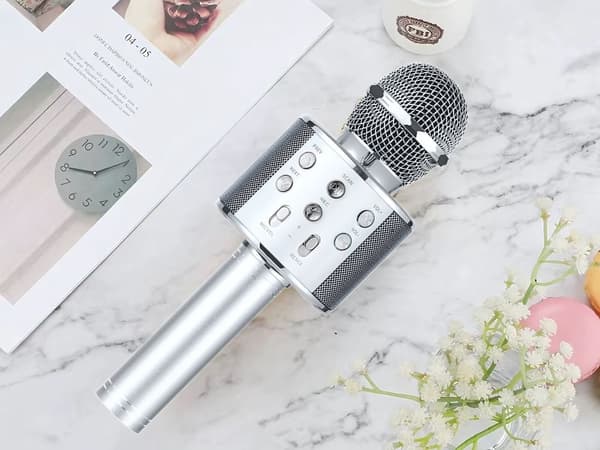 Langaton Bluetooth-karaokemikrofoni pyöreä kaiutin kotelolla, eri tilat Silver silver