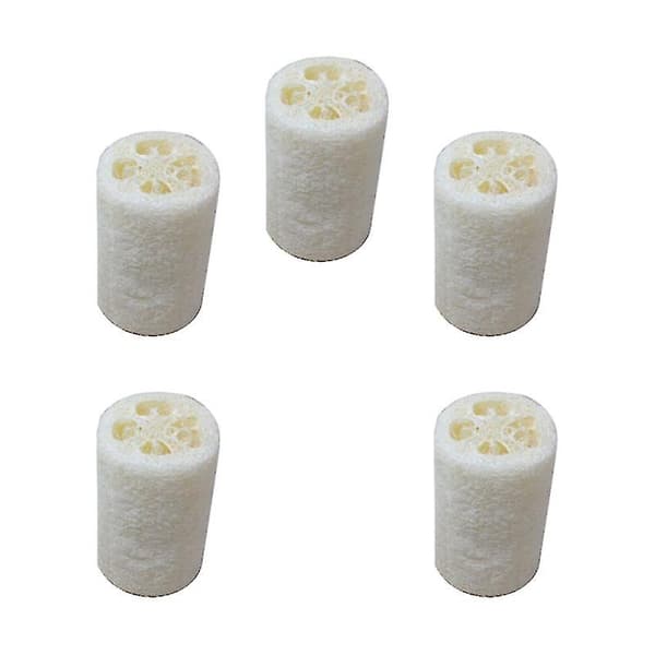 5 st kroppsskrubber