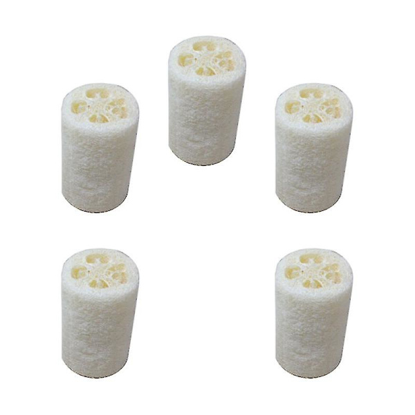 5 stk. kroppsskrubber