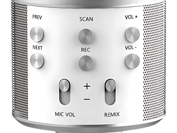 Wireless Microphone Bluetooth Karaoke Speaker Round with Case Various Modes Silver silver
