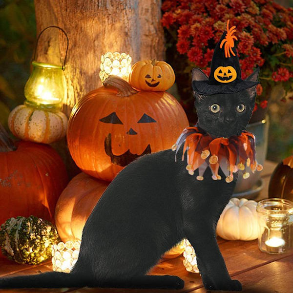 Halloween hat hagesmæk sæt dødningehoved mønster kat kappe hat sæt