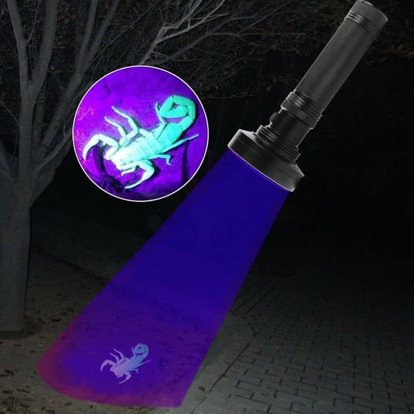 Violet UV-lampe, 100 lamper, fluorescerende middeldetekteringslampe, UV-lampe