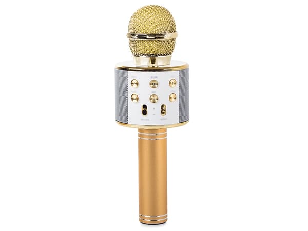 Wireless Microphone Bluetooth Karaoke Speaker Round with Case Various Modes Guld gold