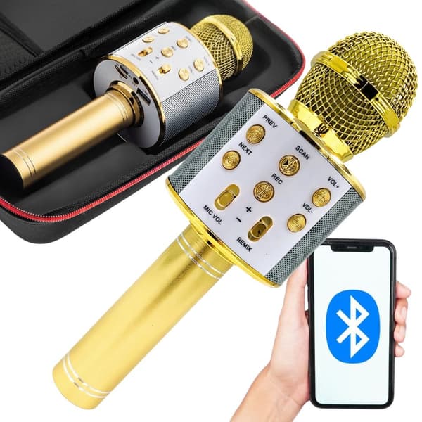 Langaton Bluetooth-karaokemikrofoni pyöreä kaiutin kotelolla, eri tilat Guld gold