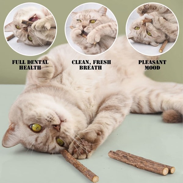 Kattpinnar, torkad kattmynta naturlig kattmynta tugga