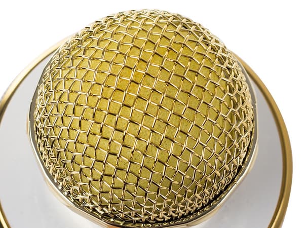 Wireless Microphone Bluetooth Karaoke Speaker Round with Case Various Modes Guld gold