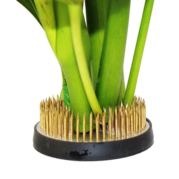 Rund Blomhållare / Blomsterfakir med Gummibas - Blomsterdekor - Svart Svart