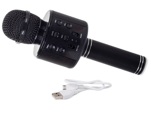 Wireless Microphone Bluetooth Karaoke Speaker Round with Case Various Modes Svart black