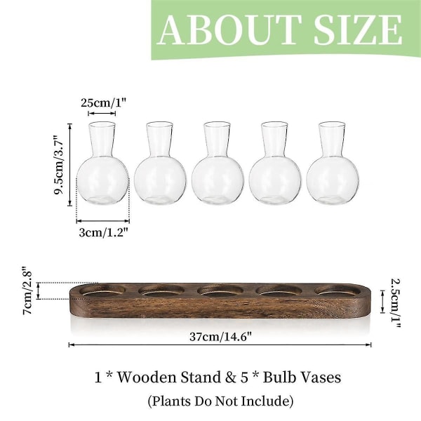 Plantera Terrarium Propagation Station, Glas Planter Bulb Vas med träbricka, Moderna knoppvaser för