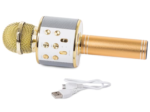 Wireless Microphone Bluetooth Karaoke Speaker Round with Case Various Modes Guld gold