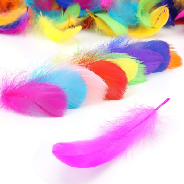 Farverige fjer, 300 STK Feather Natural Crafts Fjerdekorationer til DIY Dream Catchers Hatte Kostume Hjem Fest Bryllupsdekorationer 8-12CM