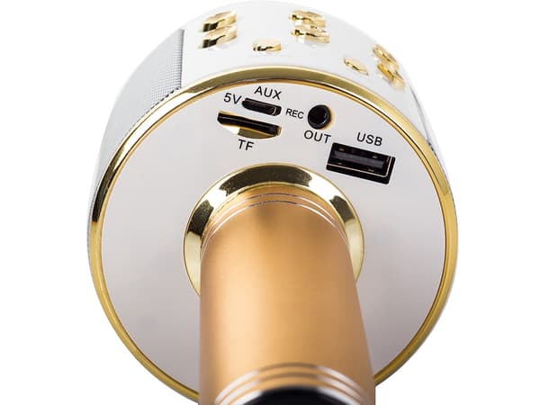 Wireless Microphone Bluetooth Karaoke Speaker Round with Case Various Modes Guld gold