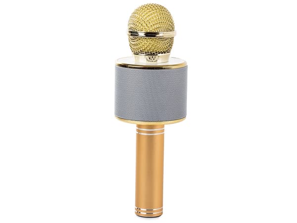 Langaton Bluetooth-karaokemikrofoni pyöreä kaiutin kotelolla, eri tilat Guld gold