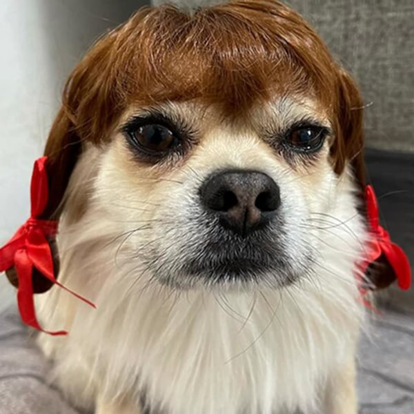 Pet Kostumer Hund Cosplay Paryk, Katteforklædning til Halloween, Jul, Fester, Festivaler, Hunde Parykker til Små Mellemstore og Store Hunde Brown braids