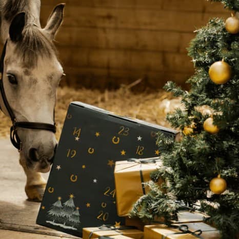 HORSEBRANDS 2025 Julekalender - Nedtælling til jul med heste-gavesæt - Perfekt
