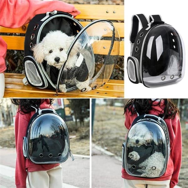 Black Cat Dog Bag Backpack Carrier Black Svart one size