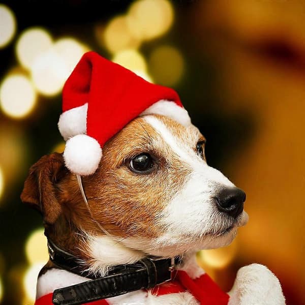 Pieces Kæledyrs Julemandshat til Hund Kat Jul