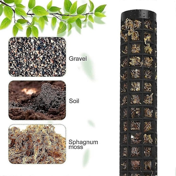Monstera Spaljé, Moss Pinne, 6 Delar Växtstöd, Kokosnöt för Inomhusväxter, Växtpinne, Moss Stolpe