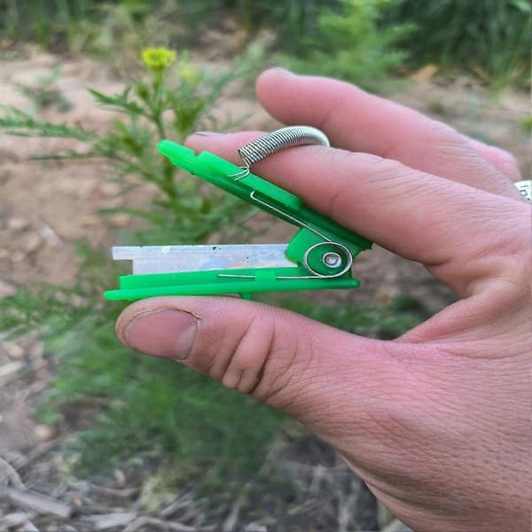 Frugtplukker Grøntsagsplante Tommelfingerklipper til Have Green 6pcs