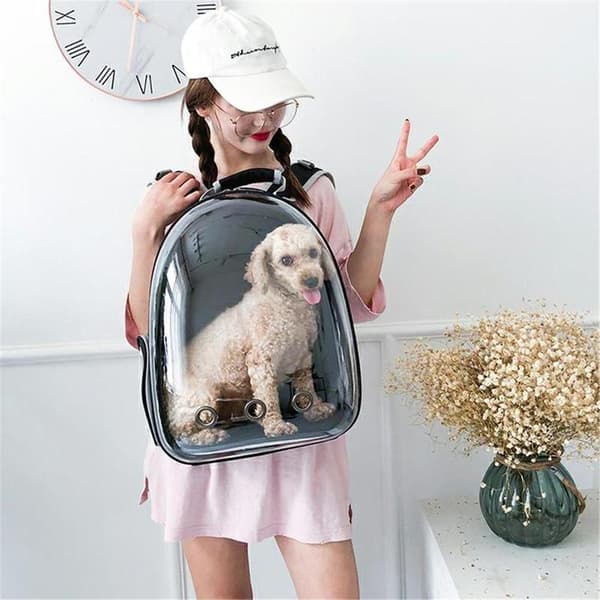 Black Cat Dog Bag Backpack Carrier Black Svart one size