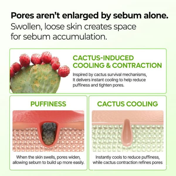 Dr.melaxin CACTOX Kaktustoxin Pore-beroligende Multi-Effekt Salve