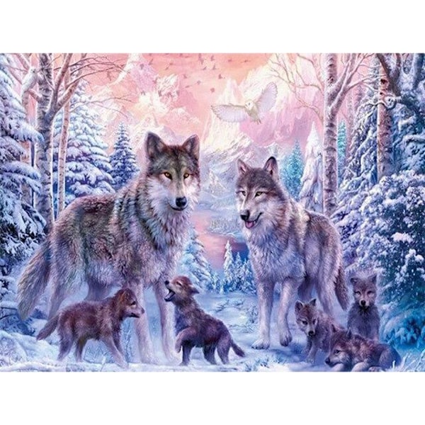 30x40cm, sneulv 5d diamantmaleri rhinestone broderi lærred