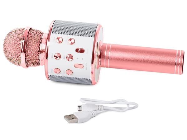 Wireless Microphone Bluetooth Karaoke Speaker Round with Case Various Modes Rosa pink