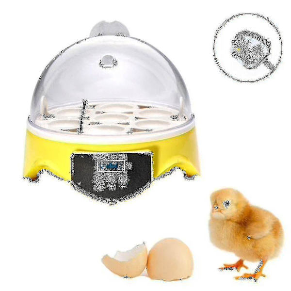 Automatic Poultry Incubator for 7 Eggs with Temperature Control - Chicken Hatcher