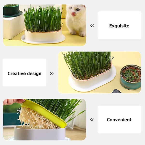 Hydroponisk Kattgräs Planteringsbricka Plast Kattmynta Kattgräs Låda Jordfri Kattgräs Odling Låda Katt Snacksbricka White Blue