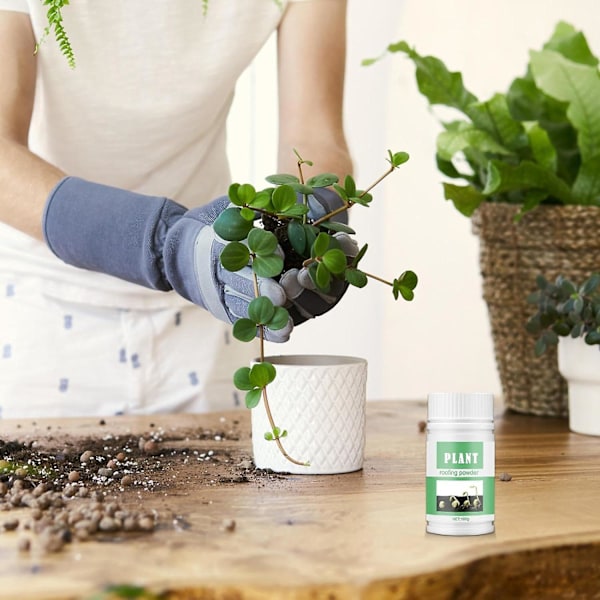 Rodnings Pulver - Rodnings Pulver Til Plante Stiklinger Hurtig & Nem Måde At Klon Planter Fra Stiklinger - Stærkere, Sundere Rødder 1 Pcs