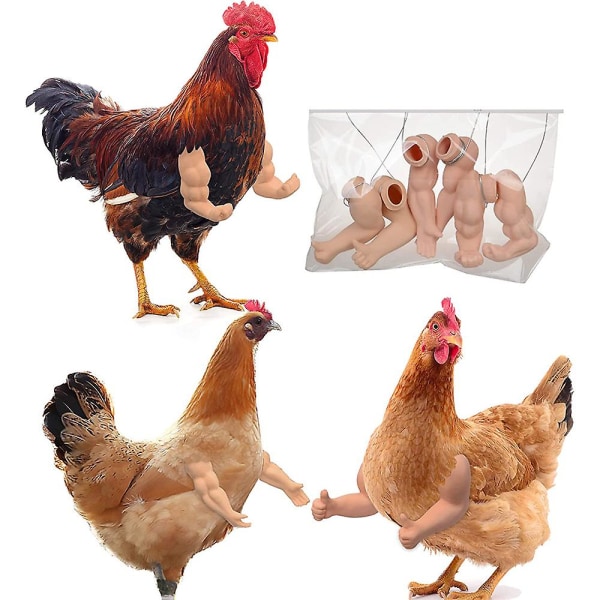 Kyllingeleker Sterke muskelarmer Tommel opp armer og klem kyllingarmer Kyllingarmer å sette på kyllinger Thumb