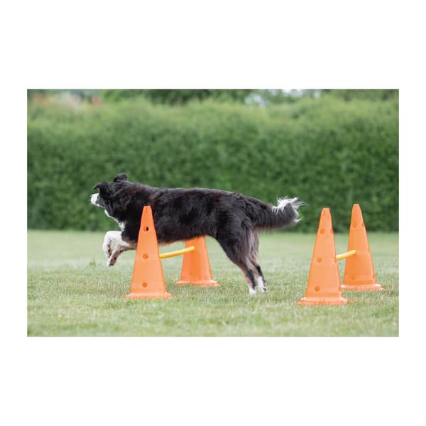 6 Cone Obstacle Kit - 3 Bars - Variable Height Adjustment: 6 cm / 13.5 cm / 20 cm - Orange/Yellow - 32091