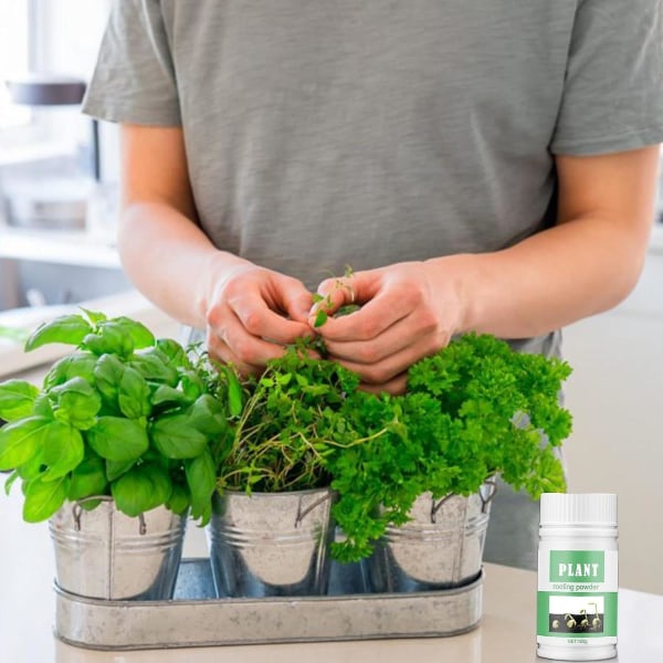 Rotpulver - Rotpulver for stiklinger Rask og enkel måte å klone planter fra stiklinger - Sterkere, sunnere røtter 3 Pcs