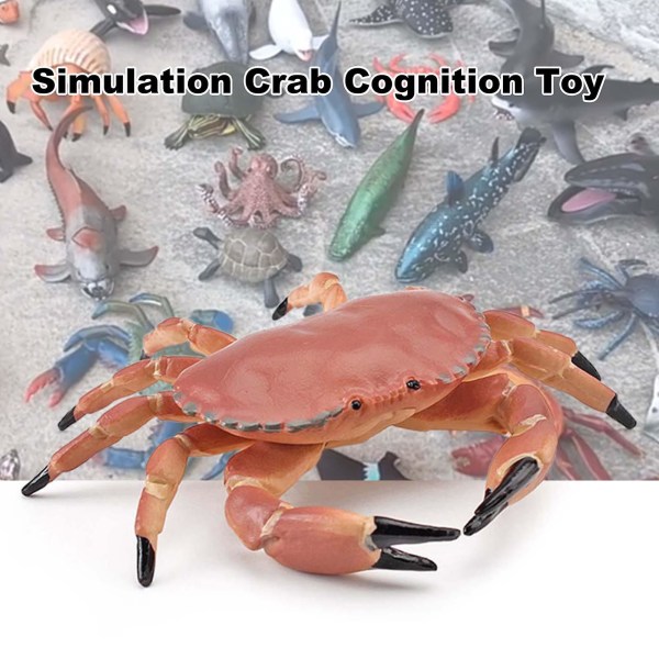 Simulering Dyremodel Levende Intelligens Udvikling Solid Akvarium Miniature Krabbe Kognition Uddannelseslegetøj til hjemmet Jiyuge H