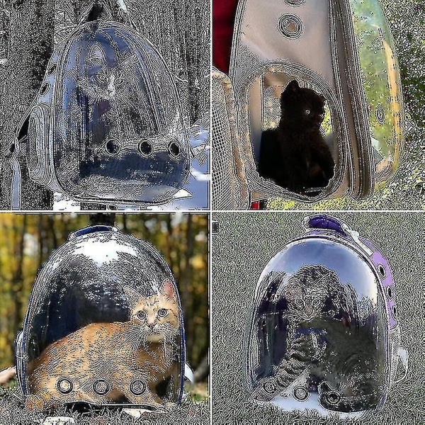 Katte rygsæk udendørs kæledyr skuldertaske Åndbar bærbar rejse gennemsigtig taske velegnet til små hunde og katte Black Owl