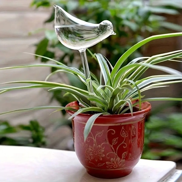 10 Pakk Selvvannende Glass Transparent Fugleformet Globeplante