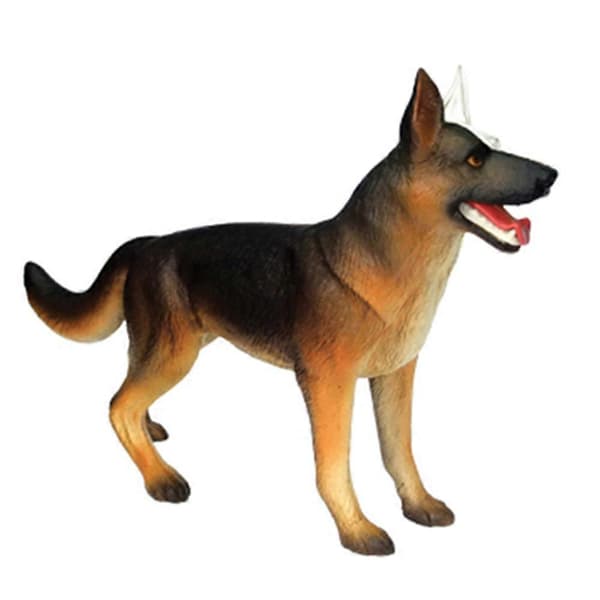 4D Dog Organ Anatomy Model Intelligence Assembly Toy