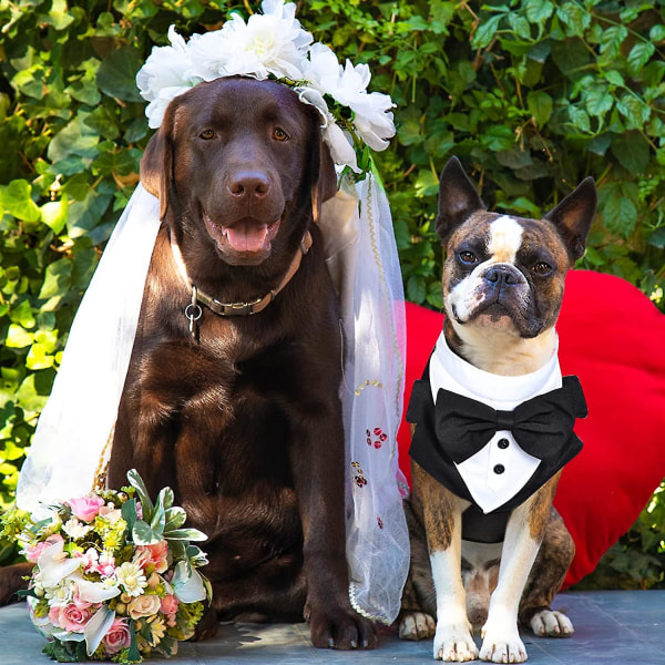 Hundesmoking bandana, sort sløjfe hundesele, justerbar hundesmoking formelle hundesele Forlovelsesfødselsdagskostumer M
