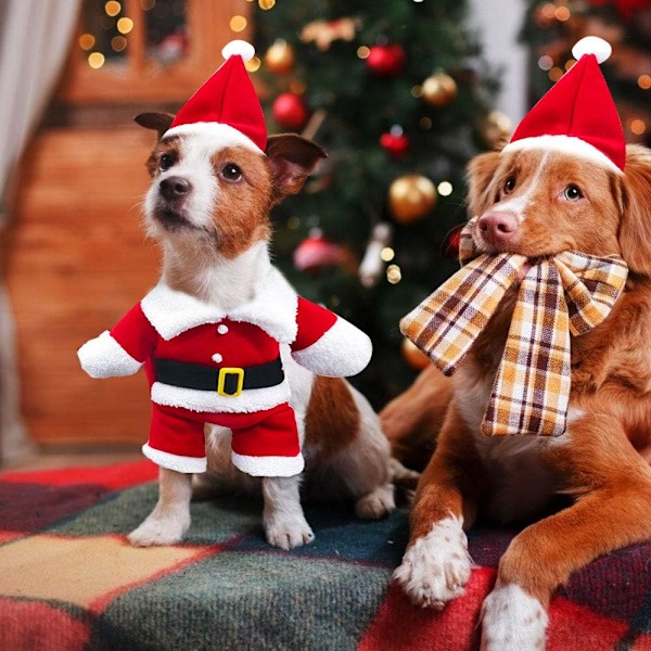 Julemandskostume til Hund og Kat, Sødt Juletøj til kæledyr, Julekostume med Julemandshue (L) Sunmostar