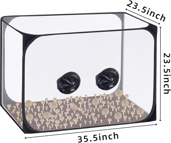 Sopp Still Air Box - Sammenleggbart Soppdyrkingstelt (90 x 60 cm)