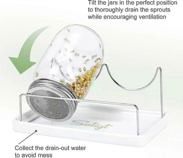 Complete Sprouting Kit for Mason Jars, 2 Wide Quart Jars with 316 Stainless Steel Lids and Stand