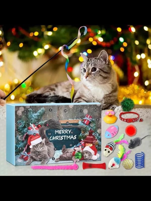 Sett med 1 katte-adventskalender i vindusboks til jul