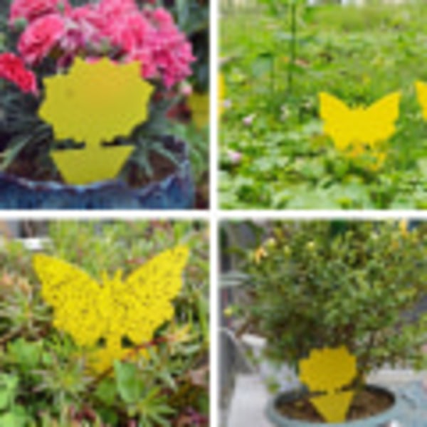 12 Pack Sticky Fruit Mosquito Trap Outdoor Waterproof Garden Butterfly